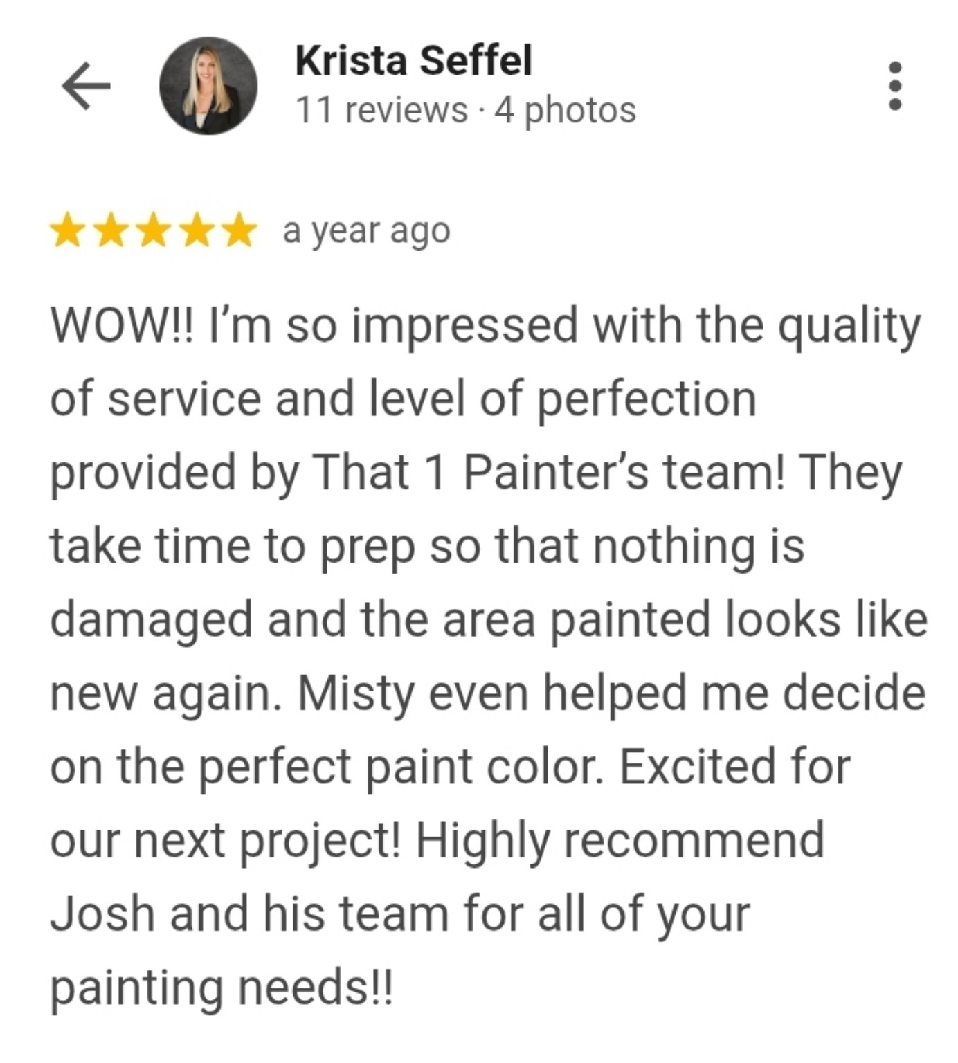 Customer review highlighting careful preparation, paint quality and color-selection help.